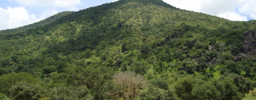 Moyo District is mountainous and ever green containing different species of living things